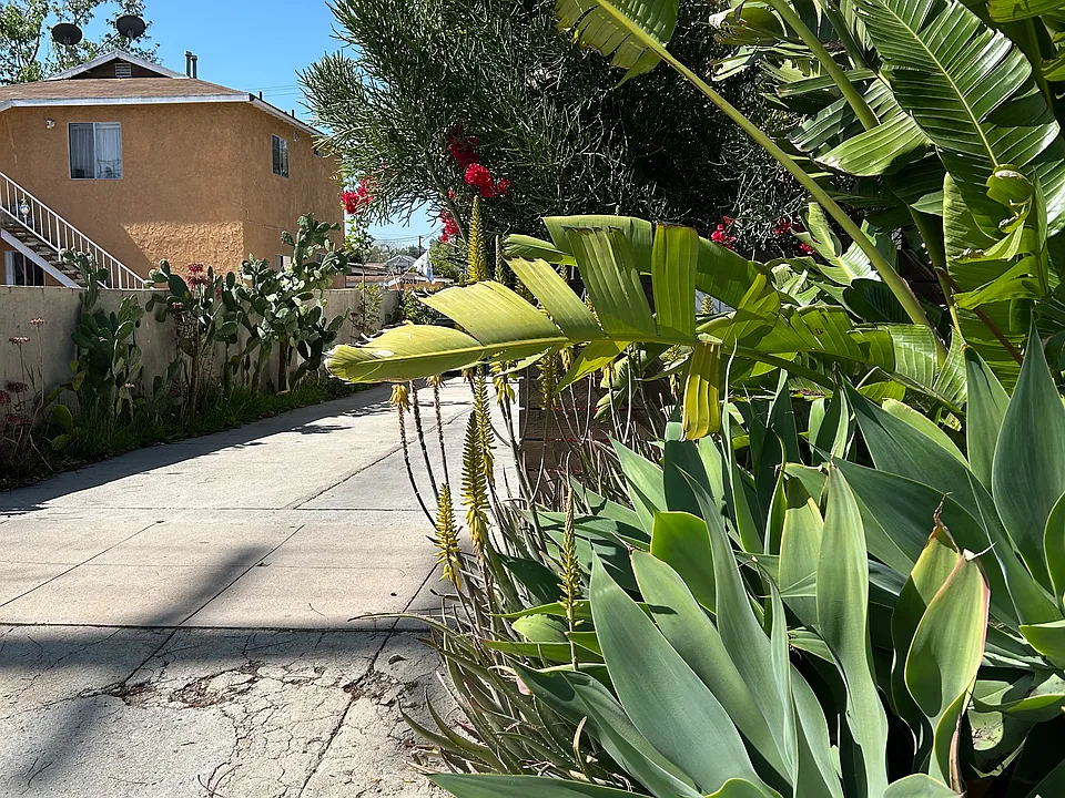 Exterior Driveway