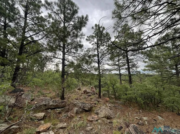 LOT La Rama Rd, Buena Vista, NM 87712