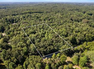Vl Par 2 East St #98, Howard City, MI 49329