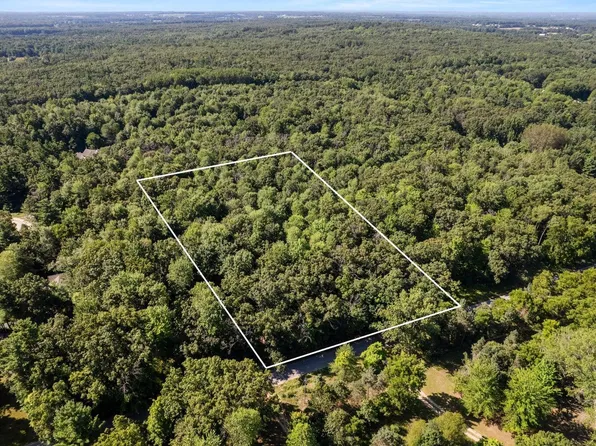 Vl Par 2 East St #98, Howard City, MI 49329