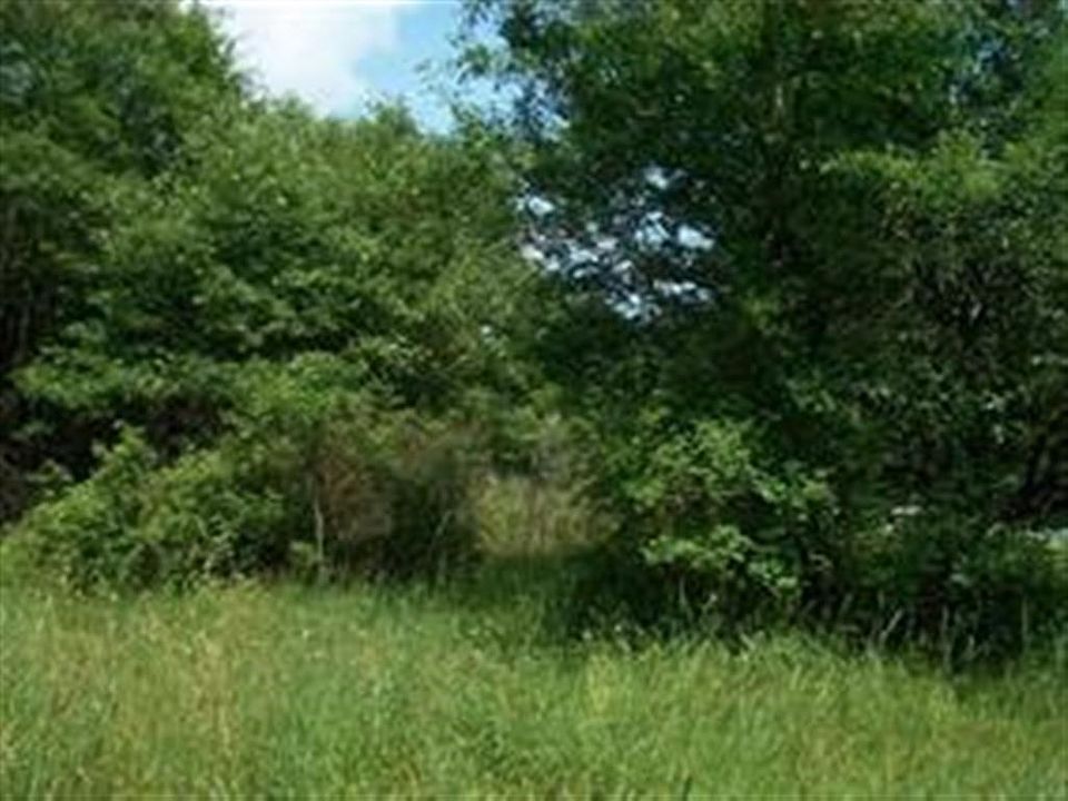 1st image of LOT 987 Pine St