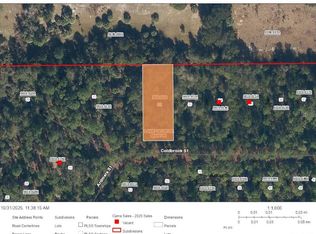120 Coldbrook St LOT 32, Georgetown, FL 32139