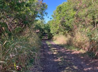 Puukani Rd LOT 37, Naalehu, HI 96772