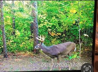 Kettlewell Ln, Sandstone, MN 55072