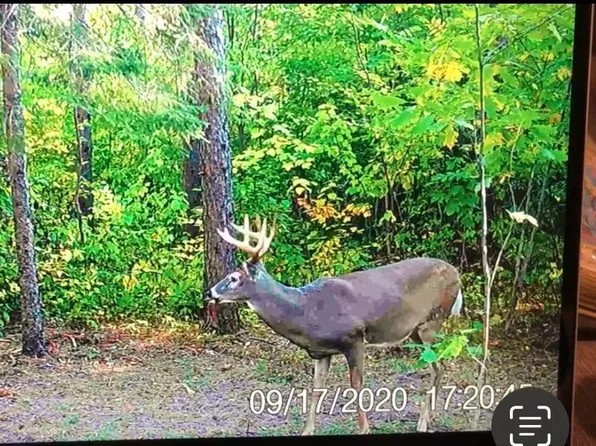 Kettlewell Ln, Sandstone, MN 55072