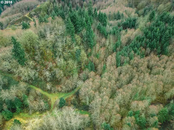 211 Trout Lakes Rd, Castle Rock, WA 98611