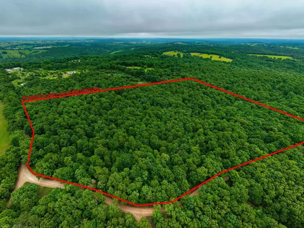 000 Co Rd 521 #Tract 5, Hardenville, MO 65666