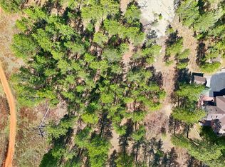 4507 Cheyenne Dr, Larkspur, CO 80118