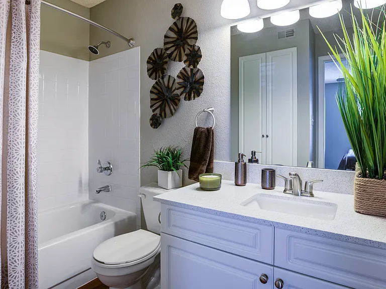 Model Bathroom 1