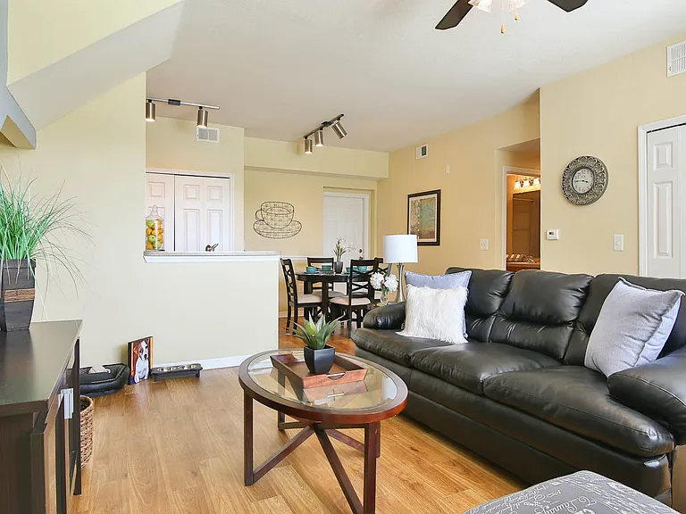 Springs at Palma Sola Apartments — Photo 43