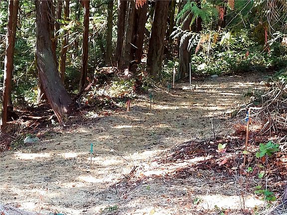From the driveway entrance you can see a tip of the green water meter box as you walk to the right .