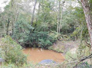 Tbd Scrub Pne, Big Sandy, TX 75755