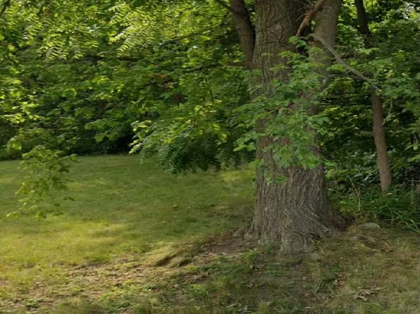 165 N Roselawn St, Pontiac, MI 48342