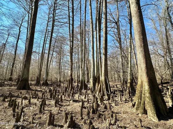 4 Evans Rd, Carthage, MS 39051