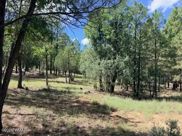 5163 Starlight Dr, Happy Jack, AZ 86024