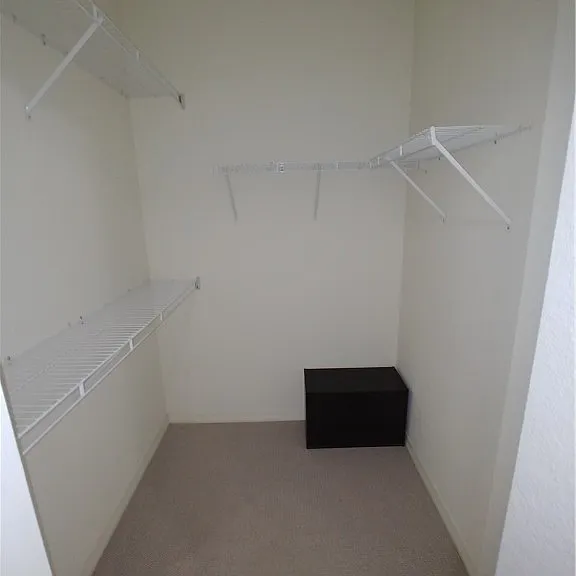 20140 Estero Gardens Cir #204 — Photo 5