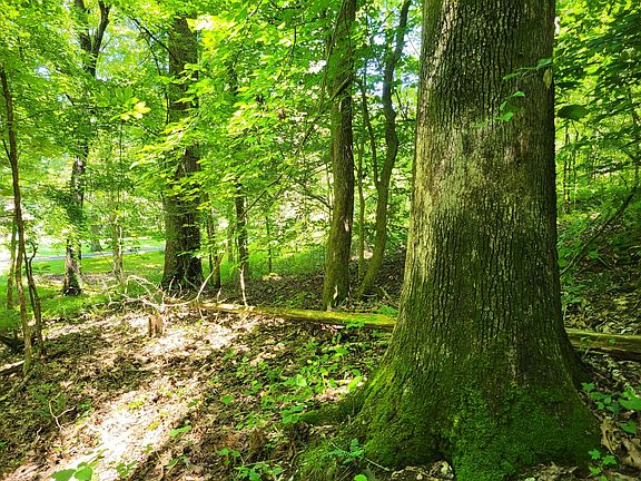 4th image of 0 Indian Creek Rd