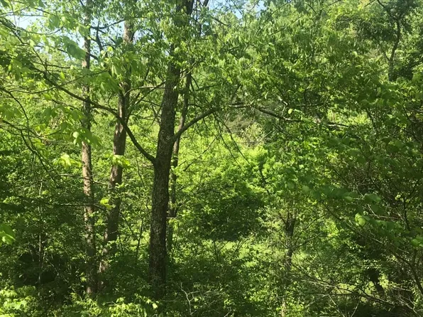Aden Land25ac Rd, Olive Hill, KY 41164