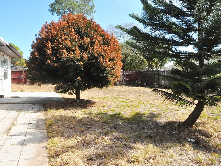 Fenced Backyard