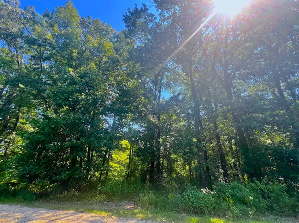 310 White Fox Ln, Broken Bow, OK 74728