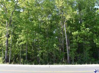 618 N Pamplico Hwy, Pamplico, SC 29583