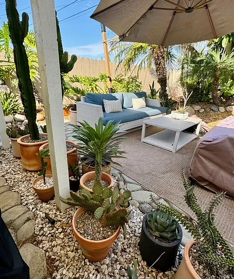 Backyard Furnished