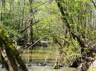 2410 Robinson Rd, Eclectic, AL 36024