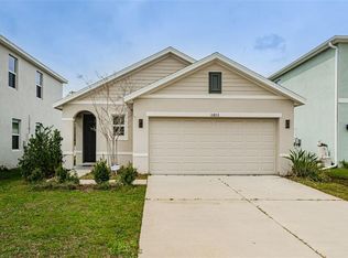 10853 Trailing Vine Dr, Tampa, FL 33610