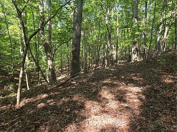 3rd image of 0 Browntown Rd Lot 134