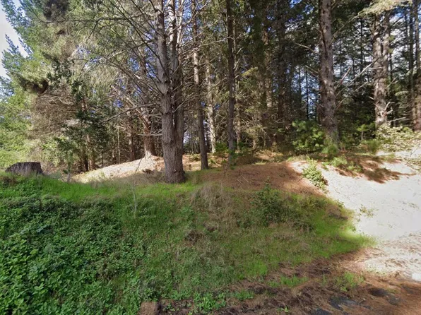 24 Cove View Dr, Whitethorn, CA 95589