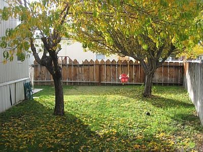 backyard with fruit trees