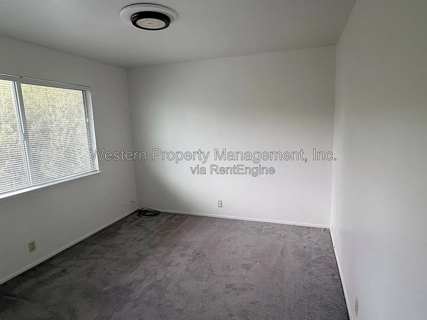 2 bed, 1.5 bath, 800 sqft, $2,795 — Photo 3
