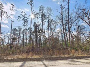 Vacant Ne River Park Rd, Lee, FL 32059