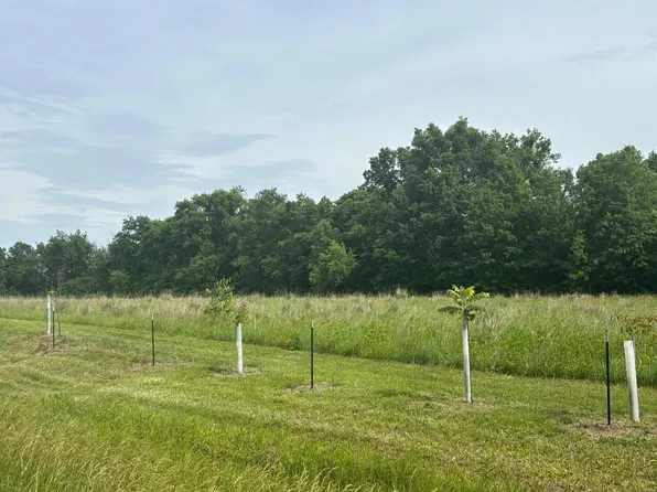 40 State Highway Ave, Brunswick, MO 65236