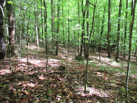 5th image of 0 Hickory Gap Rd