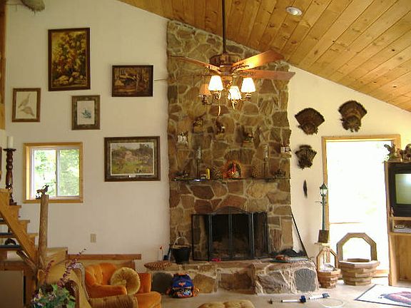 wood burning fireplace