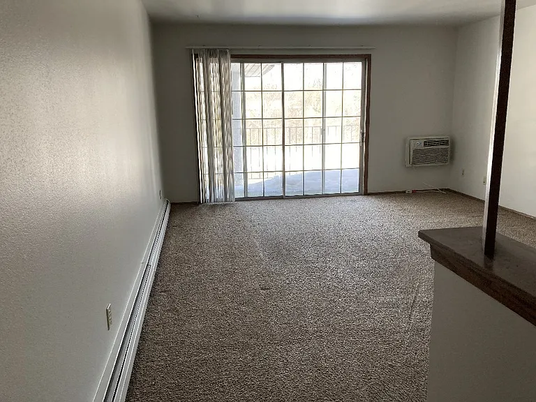 209 Williamsburg Dr #3 — Photo 5