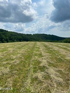 Minton Rd, New Tazewell, TN, 37825