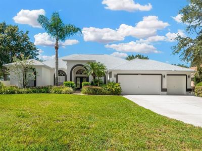 12427 Creek Edge Dr, Riverview, FL, 33579