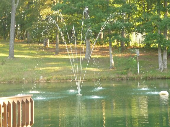 Pond with Fountain