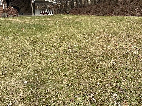 4th image of 118 Leg Horn Ln