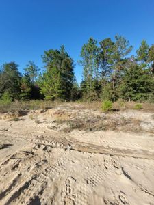 1 Red Mulberry Ln, Defuniak Springs, FL, 32433