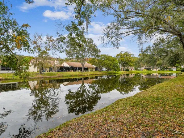 3022 Bolt Dr, Palm Harbor, FL 34685