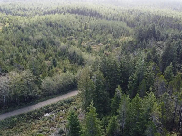 2801 BIA S-2 Road, Moclips, WA 98562