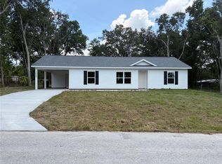16683 SE 63rd Ln, Ocklawaha, FL 32179
