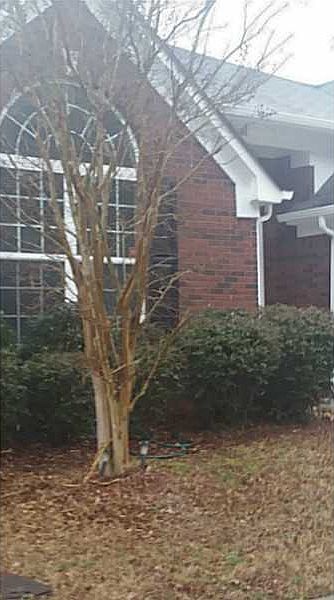 1st image of 2692 Newtons Crest Cir