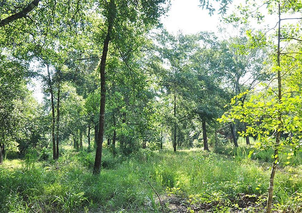 1st image of 10955 Daw Collins Rd