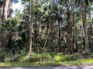 1459 Enterprise Osteen Rd, Enterprise, FL 32725