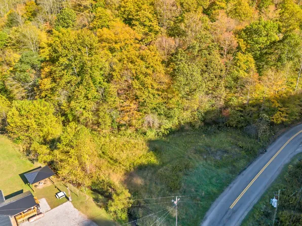 Cherokee Rd, Northfork, WV 24868