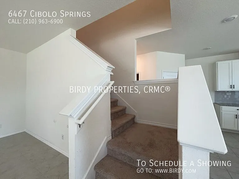 6467 Cibolo Spgs — Photo 24